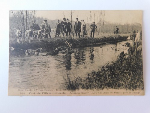 Cpa scene chasse courre - scene,