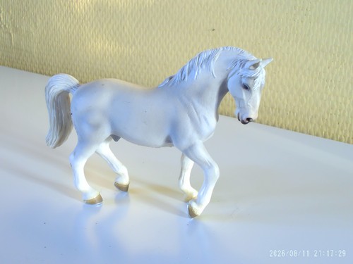 Cheval hongre lipizzan - cheval,