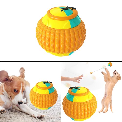Jouets mâcher pour - jouets, chien