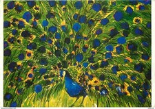 Animals - Birds - Peacock - Ting Walass Drawing - CPM - See R Scans