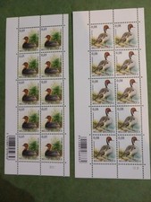 timbres oiseaux belgique