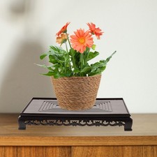  Support Pour Plantes En