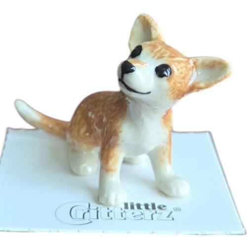 Little critterz dog chihuahua - little,