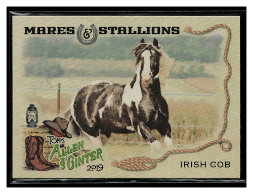2019 topps allen ginter - allen, &