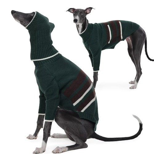 Pull pour chien lévrier - , avec