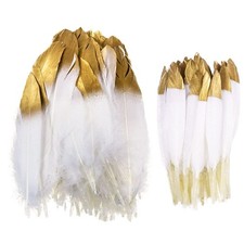 Plumes Colorées 60 Pièces Plumes Blanches Plumes Dorées Plume Décoration Plum...