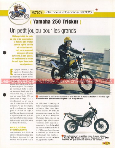 Yamaha 250 tricker 2005 joe - xg,