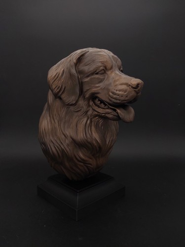 Buste bouvier bernois statue - -,