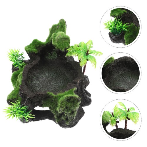 Bol eau pour - , terrarium