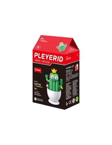 Pleyerid plante en pot - plante,