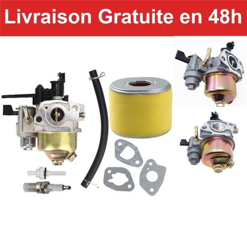 Carburateur honda gx160 gx200 - gx160,