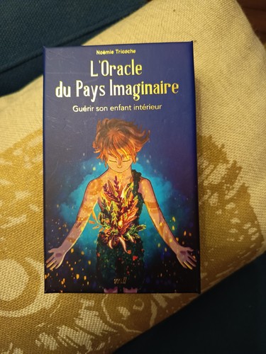 Noémie tricoche coffret - noémie,
