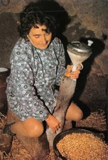 Scenes from Rural Life - THE GOOSE GAVEUSE