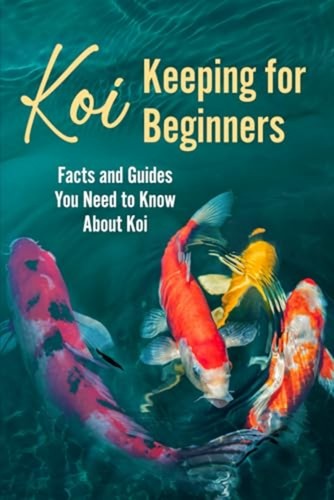 Koi keeping for beginners - koi,