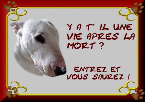 Plaque garde bull - bull, terrier