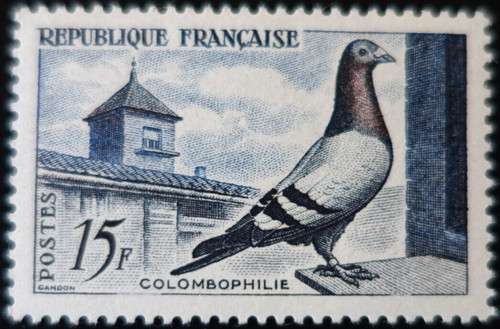 France timbre pigeon voyageur - timbre,