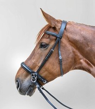 Bitless Bridle Bride Sans