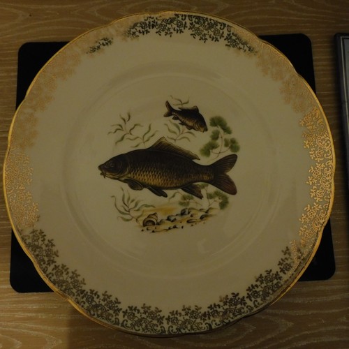 Lot assiettes motif a - lot, 2