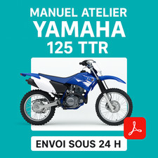 Manuel Atelier Yamaha 125 TTR