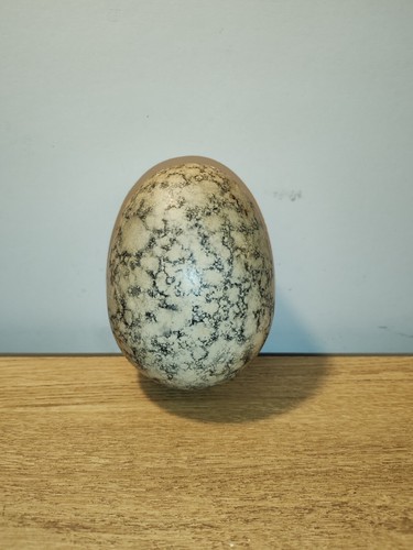 Gros oeuf déco - oeuf,