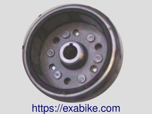 Rotor alternateur pour - d'alternateur,