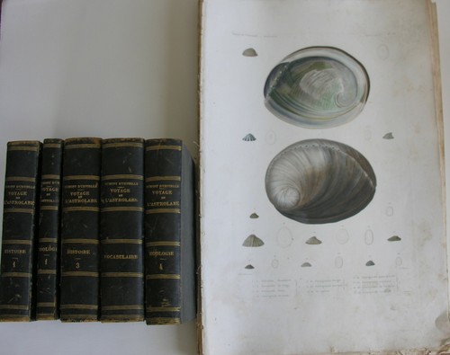 Voyage corvette astrolabe - voyage,