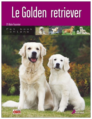 Golden retriever - le,