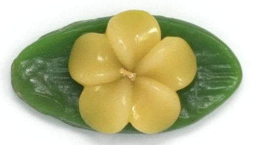 Bougies flottantes frangipani - bougies,