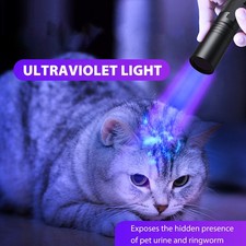 UV 365nm Light 20W Portable
