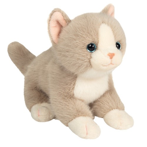 Gris blanc moelleux - moelleux, chat