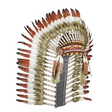 Coiffe Indienne Déguisement