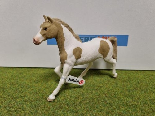 13884 jument paint horse - jument,