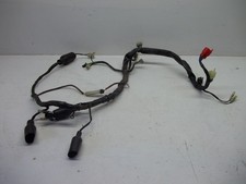 faisceau electrique de DAELIM