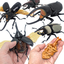 Bandai Gashapon Rhinoceros Beetle Big Realistic Insect Figure from JP Seller