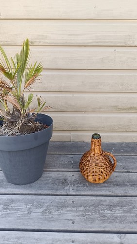 Bouteille flacon verre avec - bouteille,