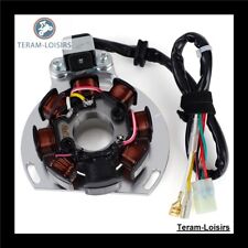 Stator Allumage pour KTM 125