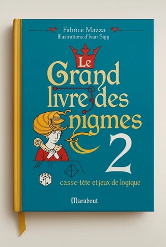 Grand livre des énigmes 2 - livre,