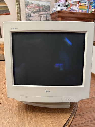 Vintage gaming monitor - gaming, dell