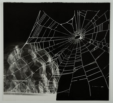 Vintage Print D&#039;Spider Light and Canvas, 37x40 Silver Print
