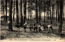 Old postcard Clamart Les Ramasseurs de Chataignes FRANCE (1307227)
