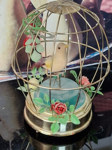 Cage oiseau yellow bird - oiseau,