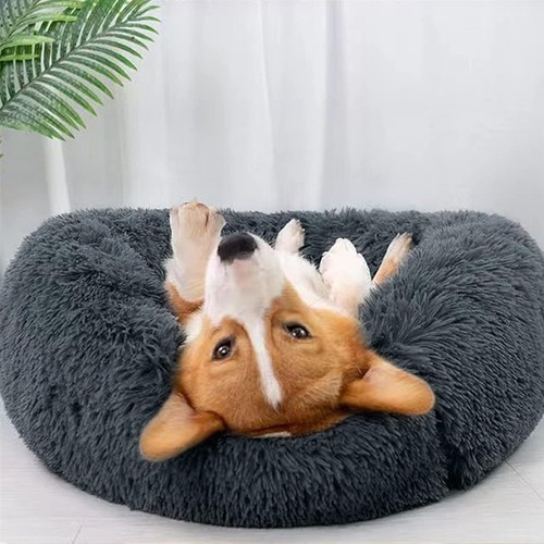 Panier pour petit chien - panier,