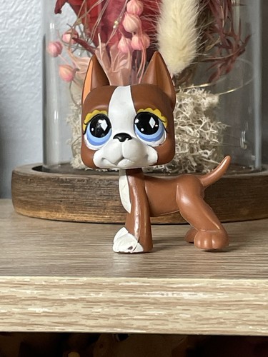 Petshop chien danois dogue - 💖petshop,