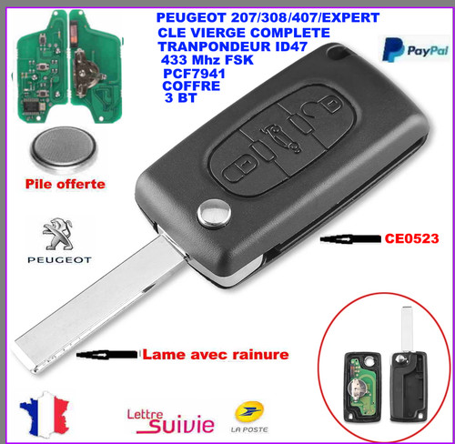 Cle vierge ce0523 circuit id46 - cle,