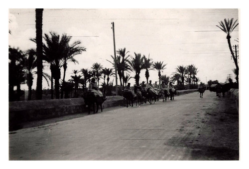 Maroc marrakech caravane - maroc,,