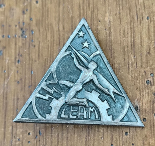 Insigne ceam centre - insigne,
