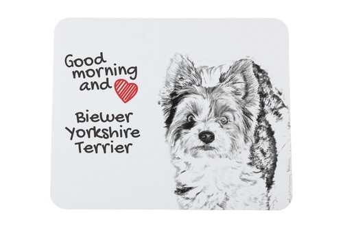 Biewer yorkshire terrier - yorkshire,