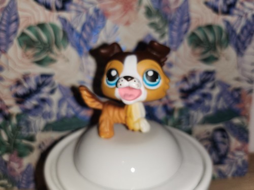 Littlest petshop colley - littlest, petshop,colley