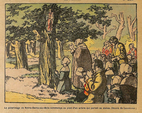 Forêt soignes - soignes, (