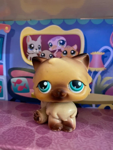 Petshop LPS Hasbro chat persan
